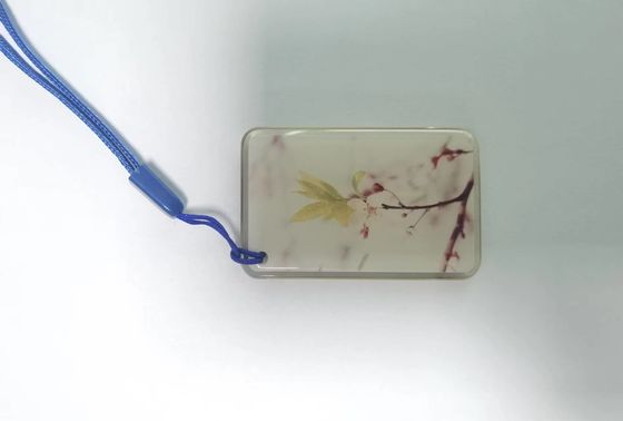 ISO14443A RFID NFC Tags 13.56Mhz NFC Epoxy Tag สำหรับระบบควบคุมการเข้าออก